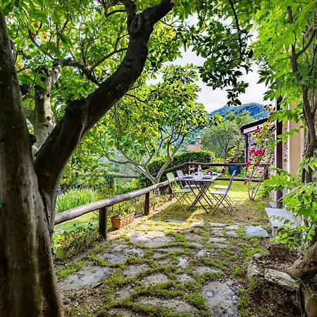 Hostdomus - Olive & Garden アパート *