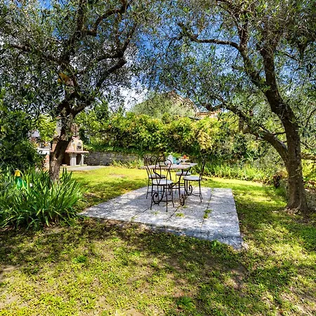 Hostdomus - Olive & Garden ガルレンダ