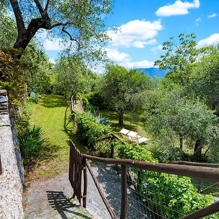 Hostdomus - Olive & Garden