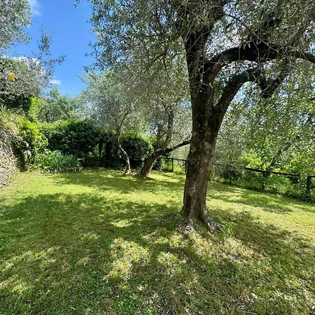 Hostdomus - Olive & Garden * Garlenda