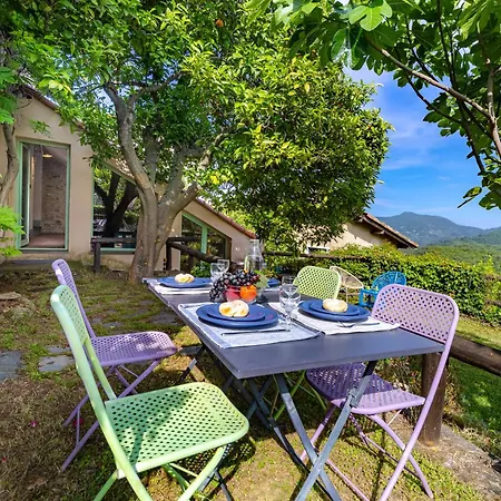 Hostdomus - Olive & Garden 加尔伦达