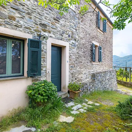 公寓 Hostdomus - Olive & Garden 加尔伦达