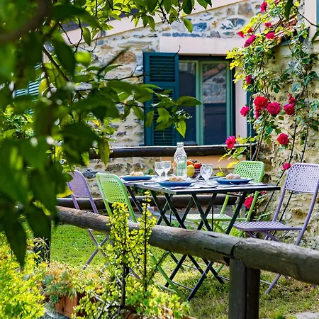 公寓 Hostdomus - Olive & Garden 加尔伦达