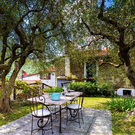 Appartamento Hostdomus - Olive & Garden *