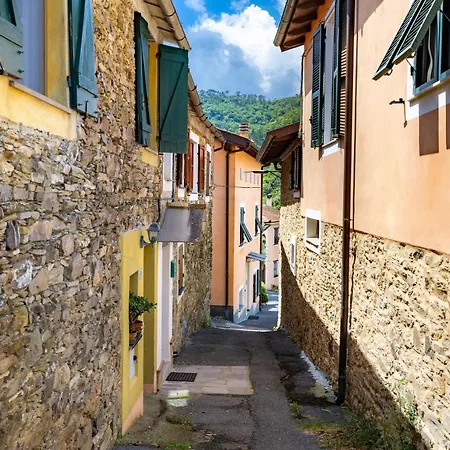 Hostdomus - Olive & Garden *